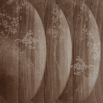 Distinguished Wall&Decò Atmosfere wallpaper with wood-grain effect and delicate floral motifs in sepia and brown tones on organic bio-vinyl