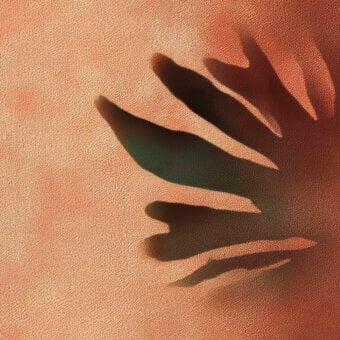 Distinguished Wall&Decò Eclisse wallpaper with shadowed leaf silhouettes against a warm terracotta textured organic bio-vinyl surface and d.TW finish