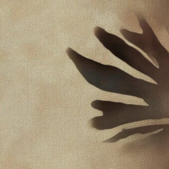 Elegant Wall&Decò Eclisse wallpaper with shadowed leaf silhouettes and a textured, fabric-effect surface in d.TW finish
