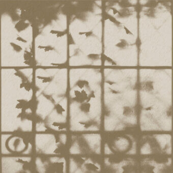 Distinguished Wall&Decò Fades wallpaper with shadowed leaf motifs in muted beige and brown tones on durable organic bio-vinyl with a d.SW finish
