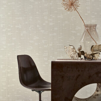 Fossil Wallpaper