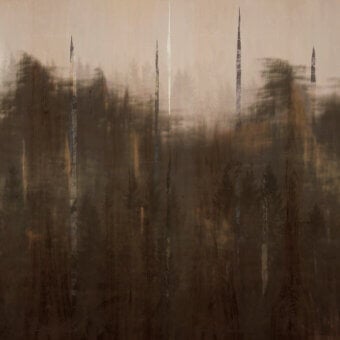 Distinguished Wall&Decò Ghostforrest wallpaper with calming forest imagery in muted brown and gray tones and d.TW finish