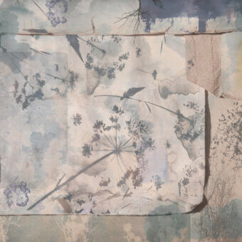 Distinguished Wall&Decò Hortorium wallpaper with botanical collage in pale gray, beige and ochre tones with d.TW finish