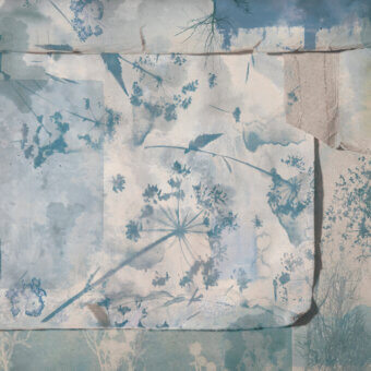 Superior Wall&Decò Hortorium wallpaper with translucent botanical illustrations in muted blue and gray tones with d.TW finish