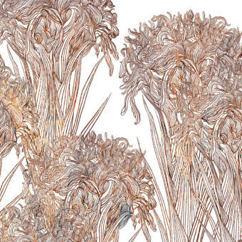 Refined Wall&Decò Lilly wallpaper with repeating floral design in reddish-brown tones and a luxurious fabric-effect d.TW finish