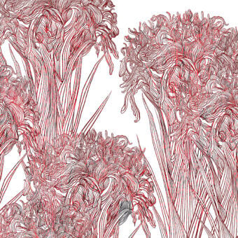 Distinguished Wall&Decò Lilly wallpaper with illustrative floral design in muted red hues and fabric-effect textured surface