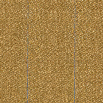Pinstripe 9158