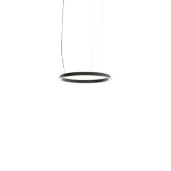 Compendium Circle Suspension Lamp