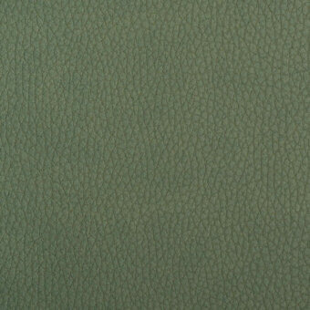 R41-Thyme