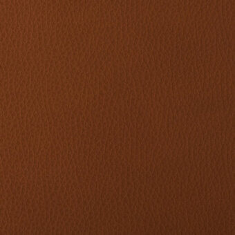 R46-Brown