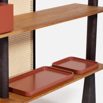 Superior Carpanese Home Paw bookcase in ash wood with Vienna straw panels and satin finish