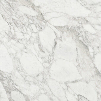 Classic White Calacatta