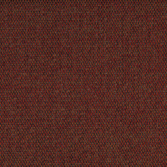 5539-Bruciato