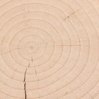 A9 - Cedar contract finish