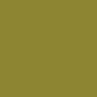 VOC - Olive di Cerignola (olive green)