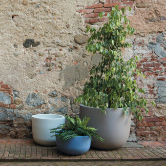 Cup Planter