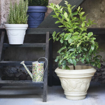 Elegant Serralunga Decorati Limoni planter crafted in off-white LLDPE plastic with a subtly textured, rounded form