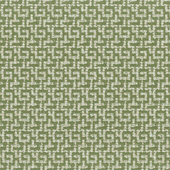 5479-Pistacchio
