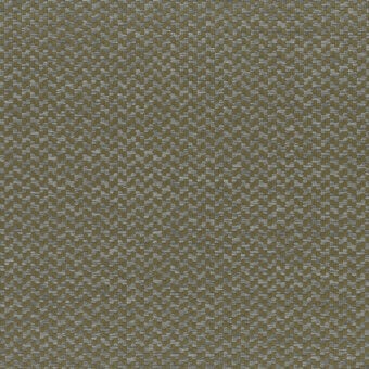 5505-Sage Green