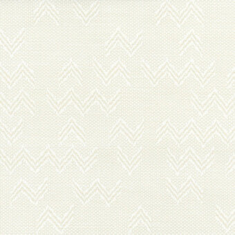 5506-Bone
