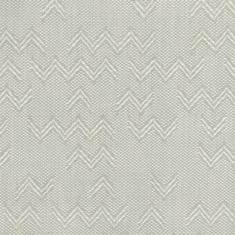 5507-Gull