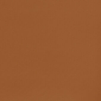 9376-Cammello