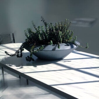 Inorbita Planter
