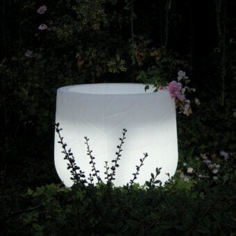 Memory Planter