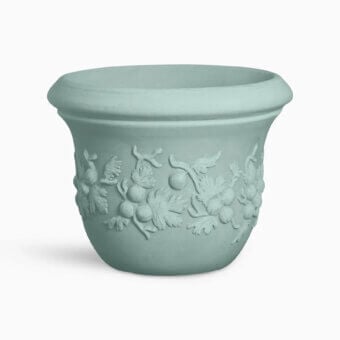 Uva Spina Planter