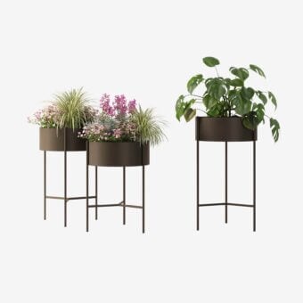 Romeo Flower Holder
