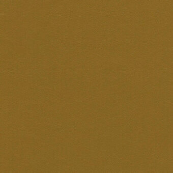 GLV20-SENAPE-2433