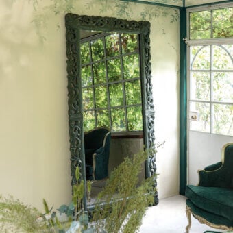 5381 Mirror
