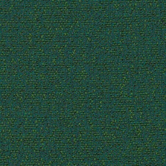 Forest - cod 40/11