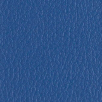P61