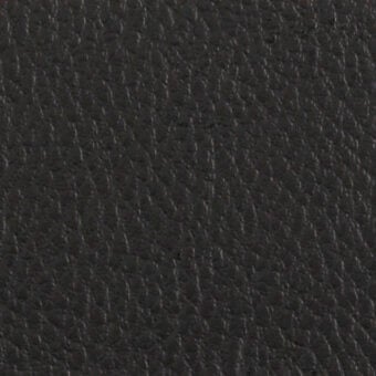 P76