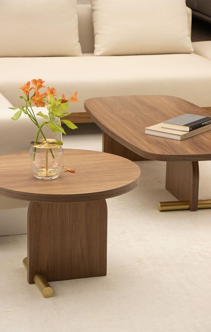 Nova Coffee Table #5