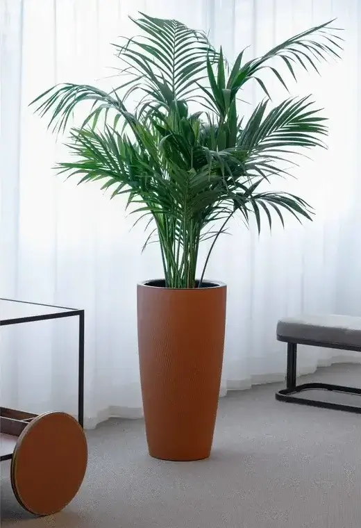 Silvy Plant Pot #2