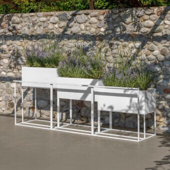 Path Planter