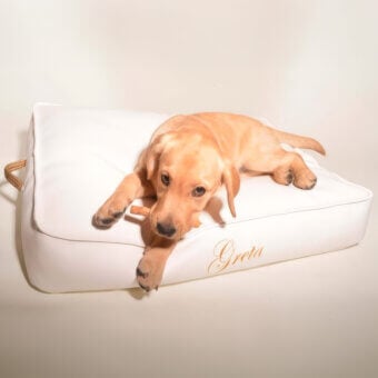 Trona Doggy Cloud Pet Bed