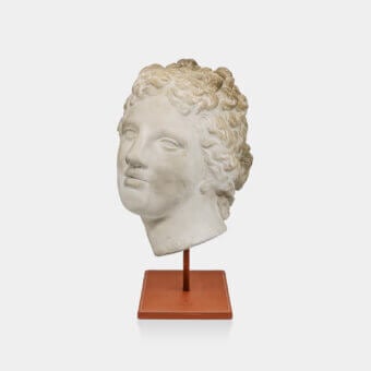 Architectural Vèlle Milano Companion of Odysseus bust in weathered off-white plaster with brown leather wrapped steel base