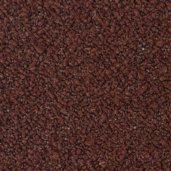 A2302 - Gorgone 01/2 chocolate