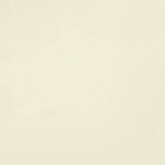 CC82 Cream