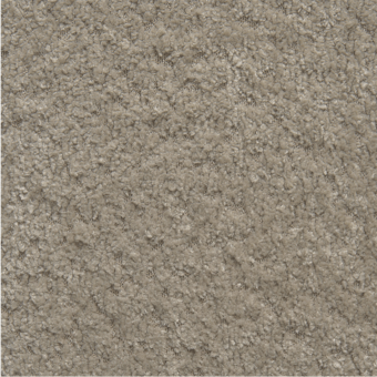 MD-bouclé-mud