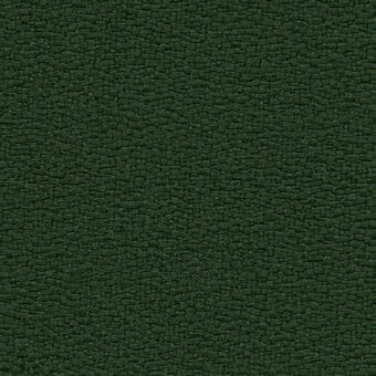 TM496 Forest