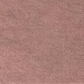 URS23 Coral
