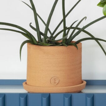 Miniforms Vavava' Planter