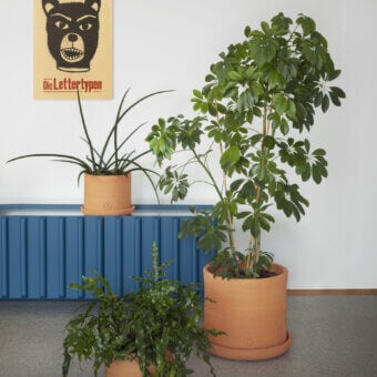 Miniforms Vavava' Planter