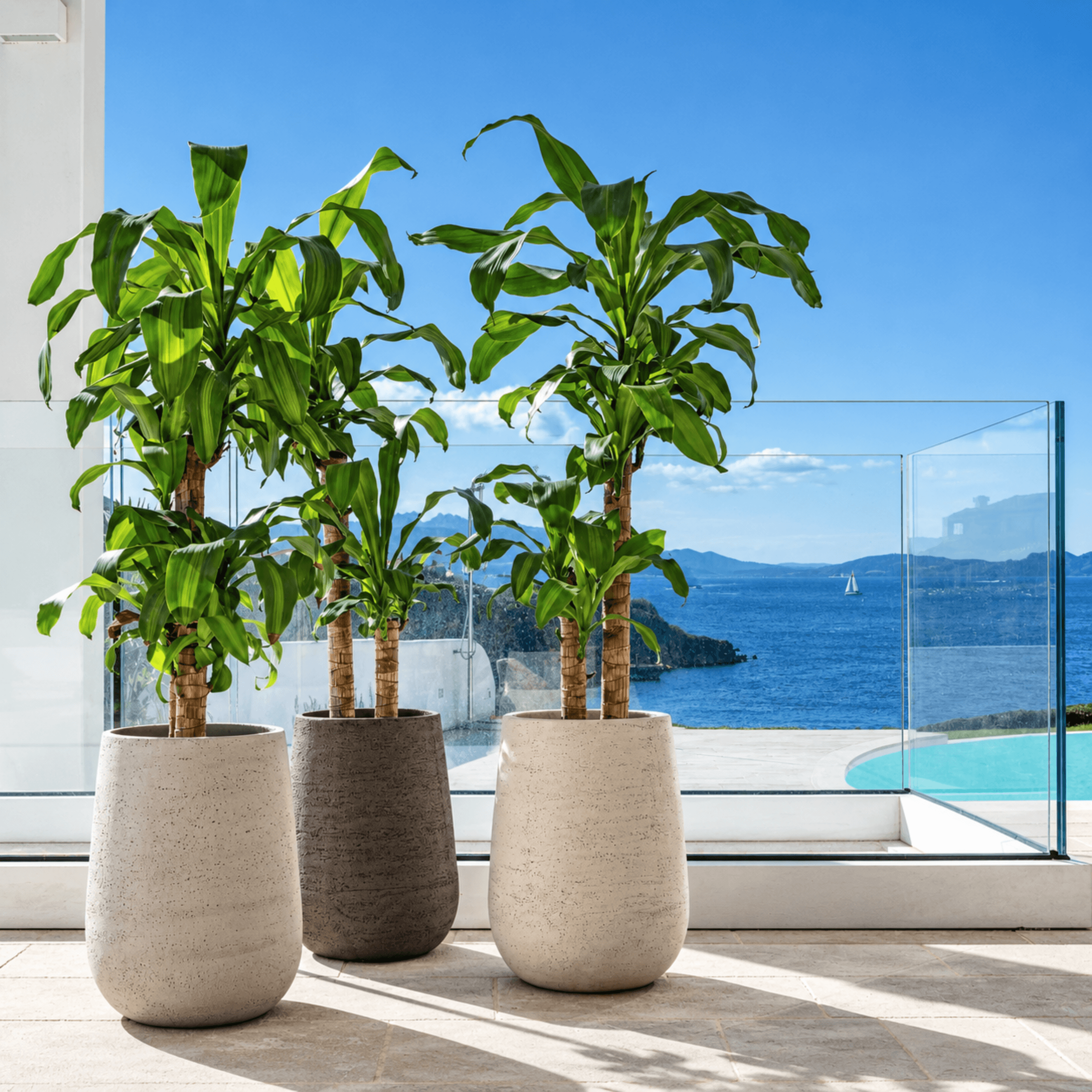 Pot à Porter