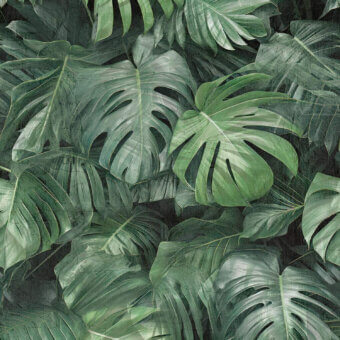 Tecnografica Italian Wallcoverings Photographic Jungle Wallpaper