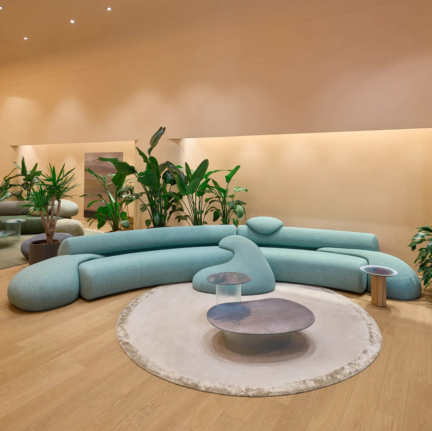 New MOROSO Collection